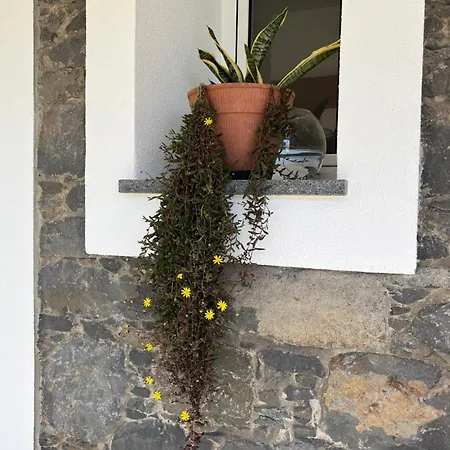 Сasa de vacaciones Mine House