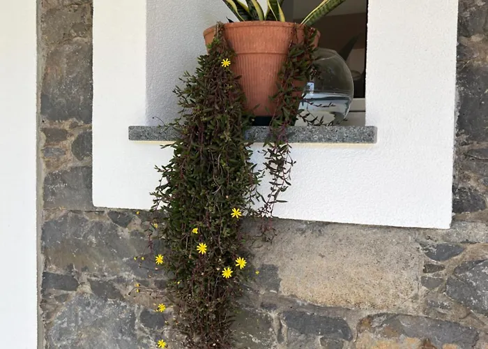 Casa vacanze Mine House